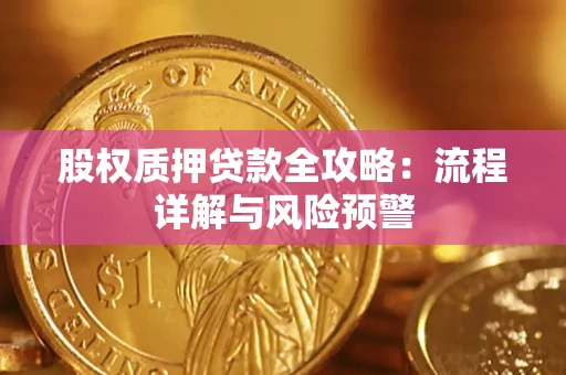 北京股权质押贷款全攻略：流程详解与风险预警