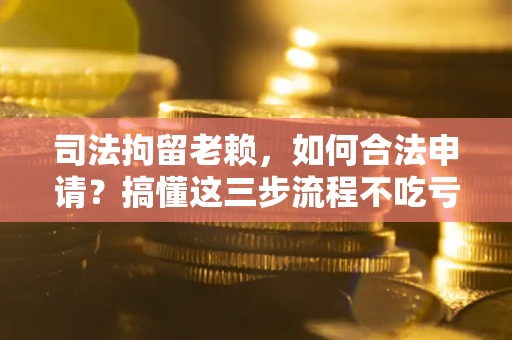 北京司法拘留老赖，如何合法申请？搞懂这三步流程不吃亏！