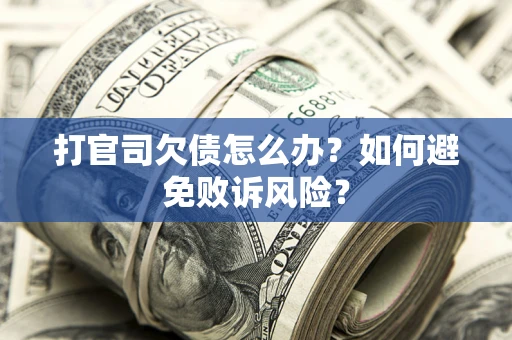 北京打官司欠债怎么办？如何避免败诉风险？