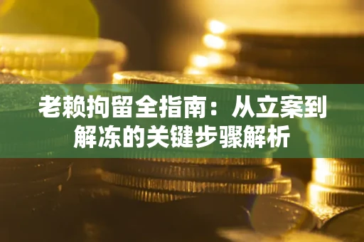北京老赖拘留全指南：从立案到解冻的关键步骤解析