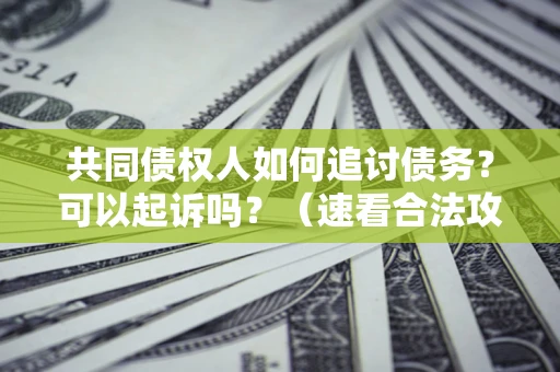 北京共同债权人如何追讨债务？可以起诉吗？（速看合法攻略）